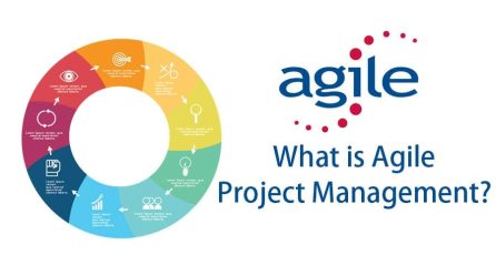Critical Factors in Agile Management Explained
