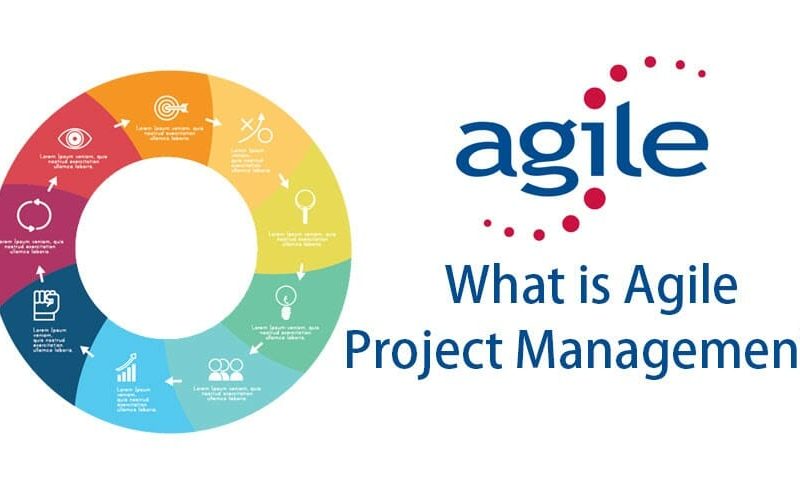 Critical Factors in Agile Management Explained